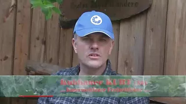 Kutt filmis, kuidas tema noor annab kõigist aukudest sisse.