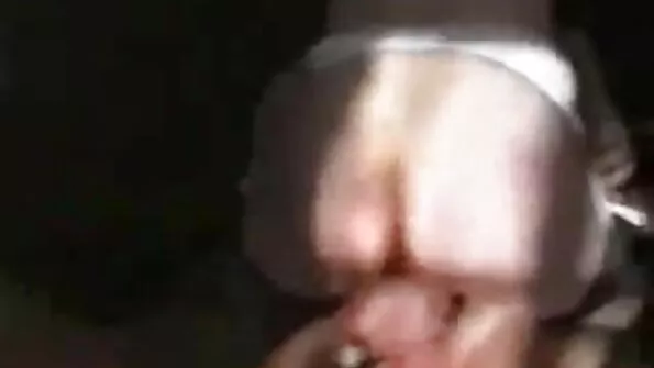 Elegantne tibi võttis torki tagumikku.