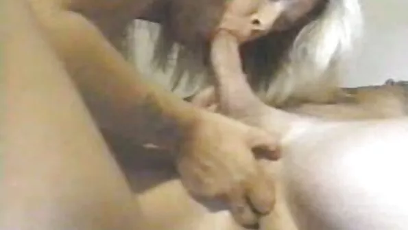 Suurejooneline blond tõmbles kinni seotud isase seljast.