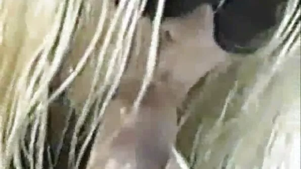 Diivanil lebanud preili äratasid massaažiterapeudi käed.