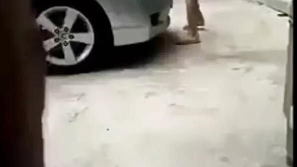 Mulat fucks ilu rikutud kork.